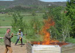 cropped-5-feeding-fire.jpg cropped-5-feeding-fire.jpg